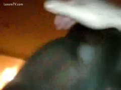 A dog inserts his crimson cock inside a woman's muff.